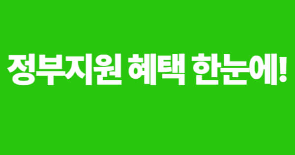 정부 복지지원금 혜택을 강조하는 안내 이미지