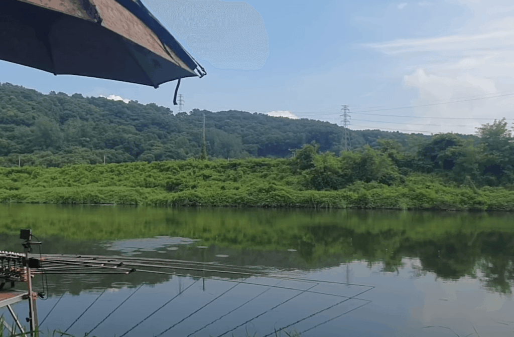 무한천 낚시터 전경, 낚싯대와 파라솔이 보이는 강가 풍경, 주변에 울창한 녹음과 산이 배경으로 펼쳐진 모습