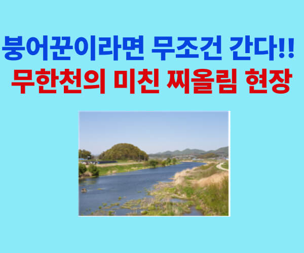 충남 홍성 무한천 붕어낚시 현장, 찌올림의 순간과 낚시터 풍경