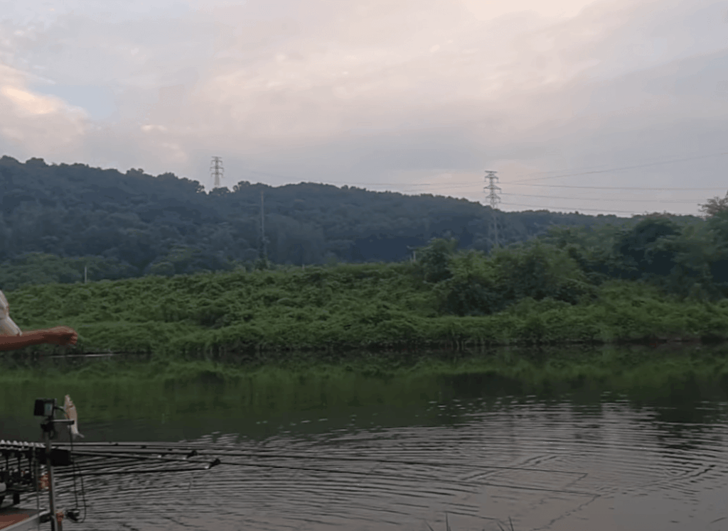 새벽 무한천 낚시터 풍경, 낚싯대가 드리워진 잔잔한 수면과 산자락이 배경으로 펼쳐진 모습
