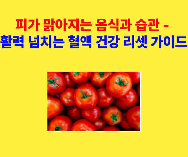 피가 맑아지는 음식과 생활 습관 – 토마토와 혈액 건강 가이드 이미지