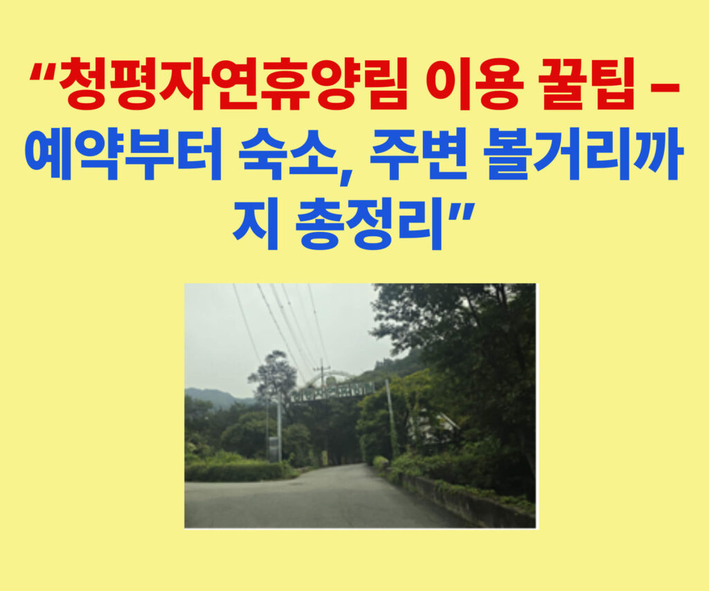 청평자연휴양림 숙박시설 전경 사진 – 가족 여행, 연인, 친구와 함께 즐길 수 있는 자연휴양림