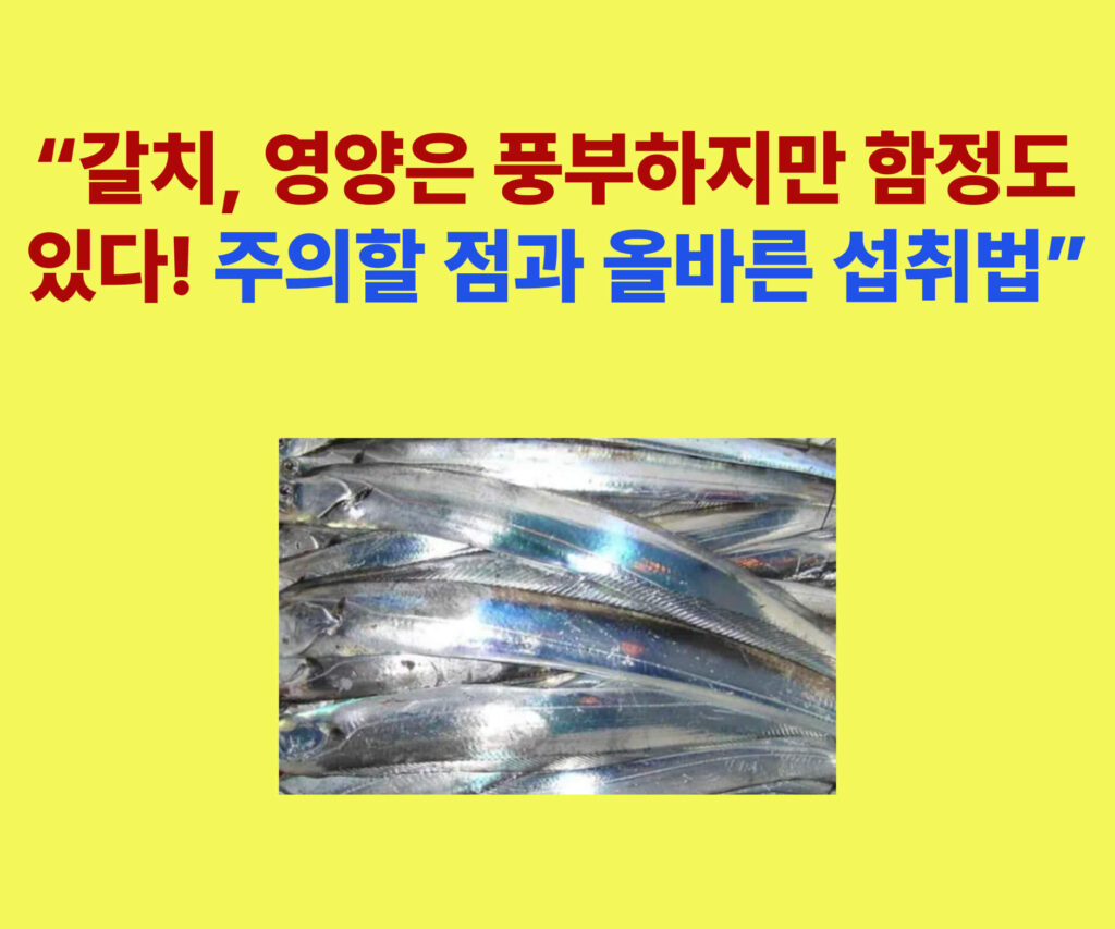 “갈치 섭취 주의사항과 건강한 조리법 안내 – 영양은 풍부하지만 수은, 염분, 벤조피렌, 해동법에 유의해야 하는 갈치”