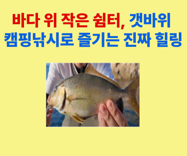 바다 위 작은 쉼터, 갯바위에서 즐기는 캠핑낚시 체험