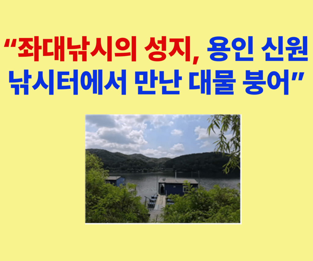용인 신원낚시터 좌대낚시 전경 – 산과 호수가 어우러진 힐링 낚시터 풍경