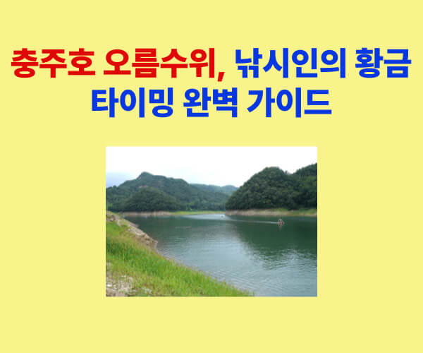 “충주호 오름수위 풍경과 낚시 포인트 전경을 담은 사진”