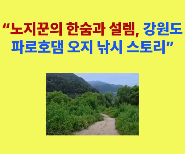 강원도 파로호댐 오지 낚시 풍경, 노지꾼의 애환과 설렘을 담은 현장 사진