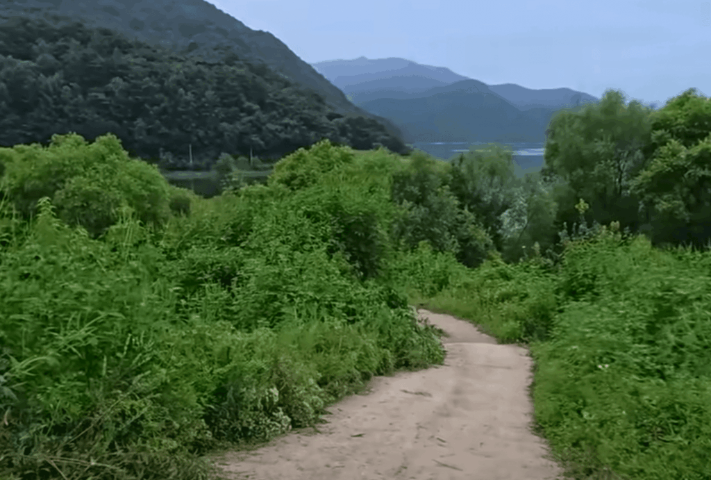 강원도 파로호댐 오지