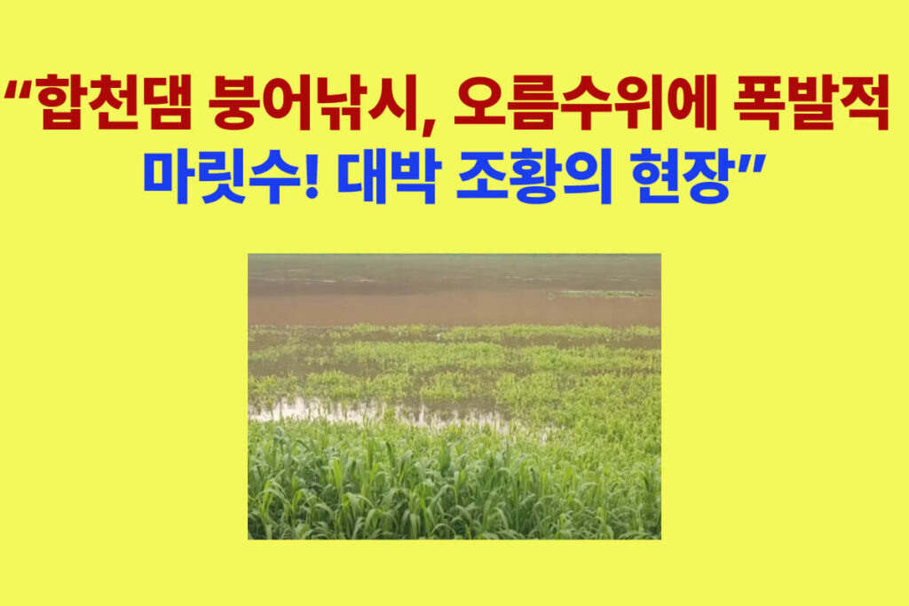 합천댐 대아리 붕어낚시, 오름수위에 옥수수 미끼로 월척 대박 조황