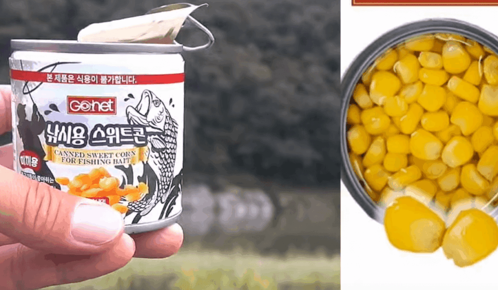 왜 옥수수 미끼를 써야 할까?