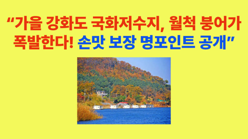 가을 강화도 국화저수지 붕어낚시터 전경, 호수 위 방갈로 좌대와 단풍이 어우러진 풍경