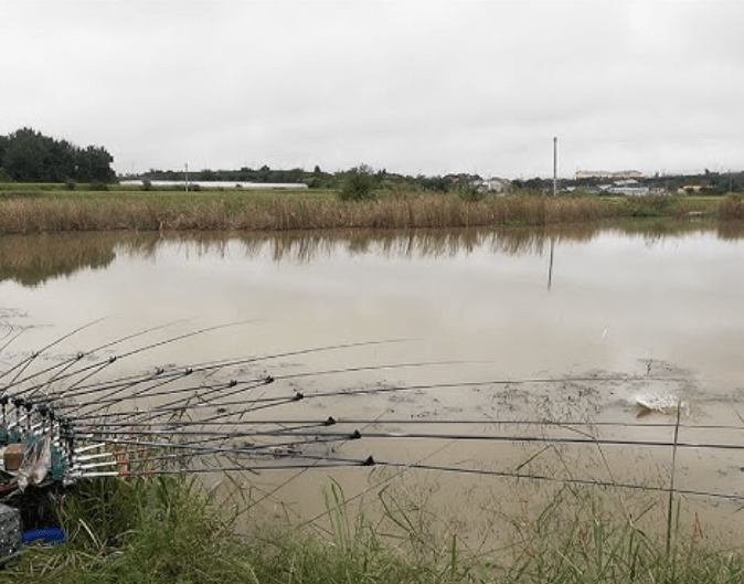 마음가짐 – 기다림 속에 배우는 낚시의 철학