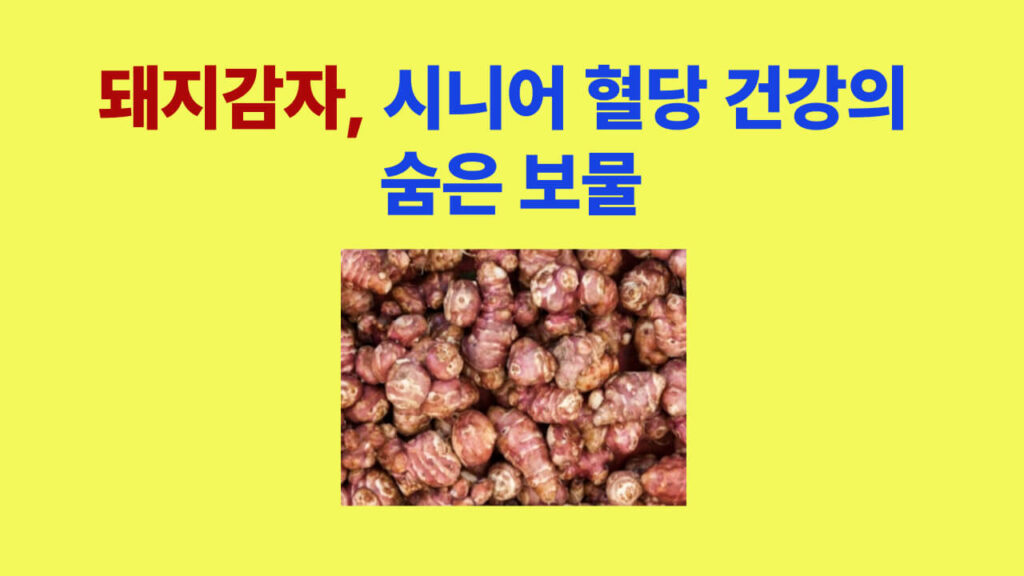 혈당 조절에 좋은 돼지감자 – 시니어를 위한 천연 건강식품