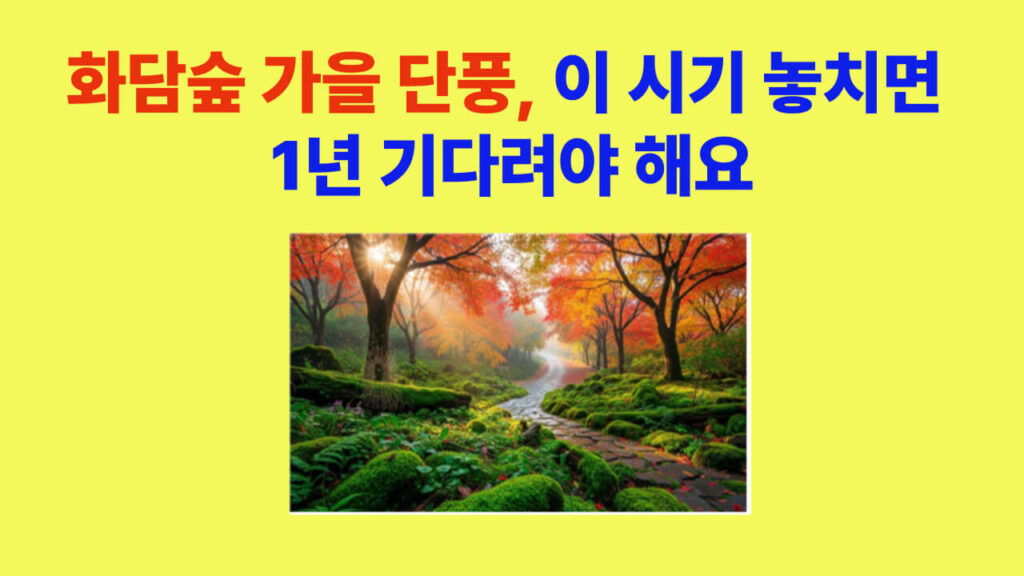 화담숲의 가을 단풍이 절정에 달한 숲속 풍경과 모노레일 전경. 붉게 물든 단풍잎이 호수에 반사되어 가을 정취를 더하는 장면