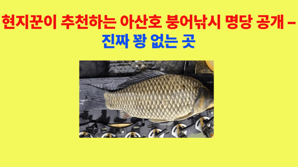 초가을 아산호 공세리권 붕어낚시 현장 전경, 마름 위로 찌가 떠오르는 모습
