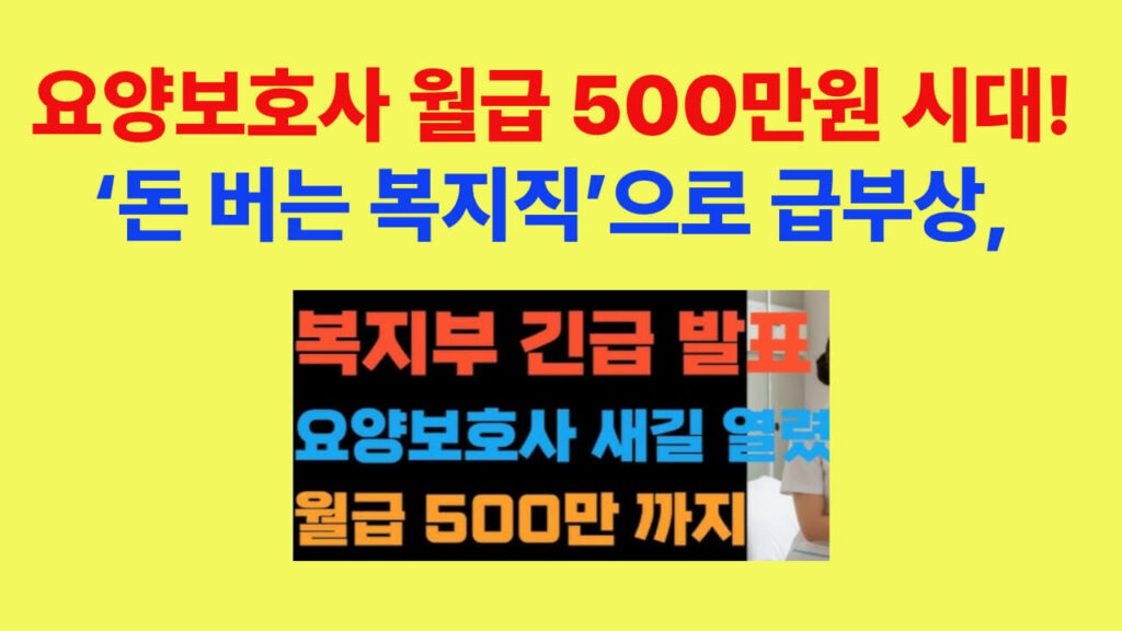 요양보호사 월급 500만원 시대, 돈 버는 복지직으로 급부상한 요양병원 간병비 급여화 정책 안내 이미지