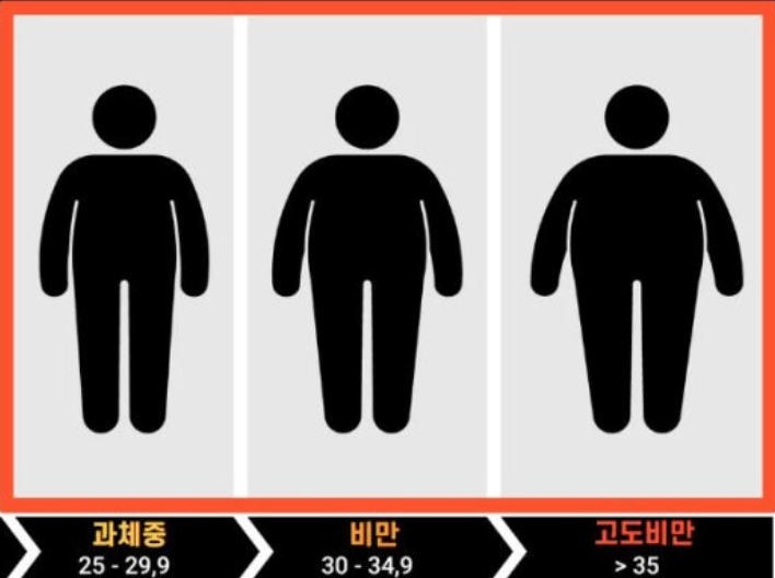 건강한 몸 인식을 위한 사회적 제언