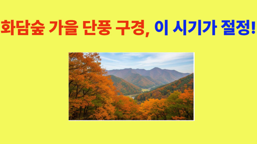 화담숲 가을 단풍 절정, 모노레일과 단풍길이 어우러진 최고의 뷰