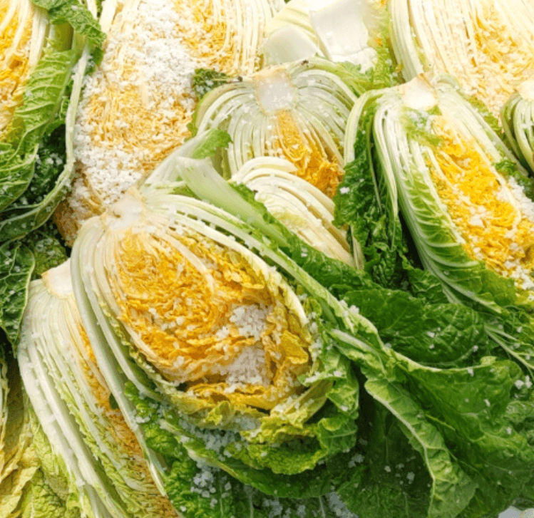 줄기(심) 부분이 짧고 하얀 배추를 고르세요