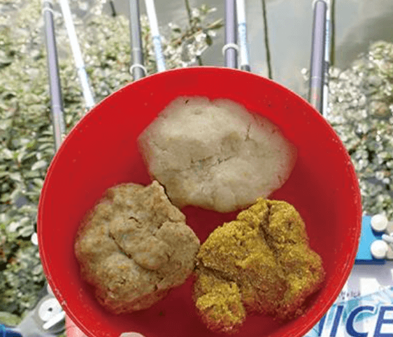 여름철 낚시 – 고온기엔 식물성 미끼가 유리하다