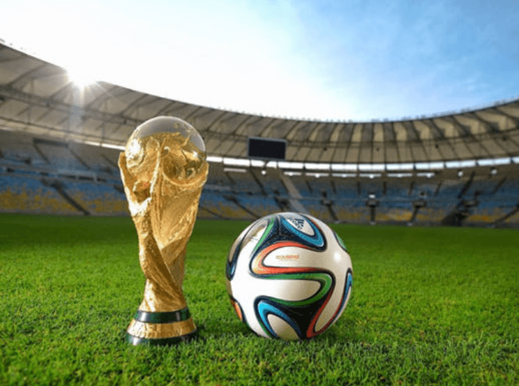 축구 강국의 명예와 기록을 한눈에