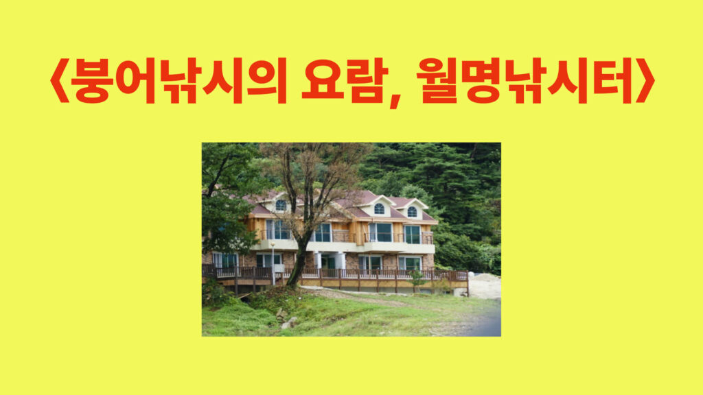 강원도 양구 월명낚시터 가을 전경과 수상좌대 모습