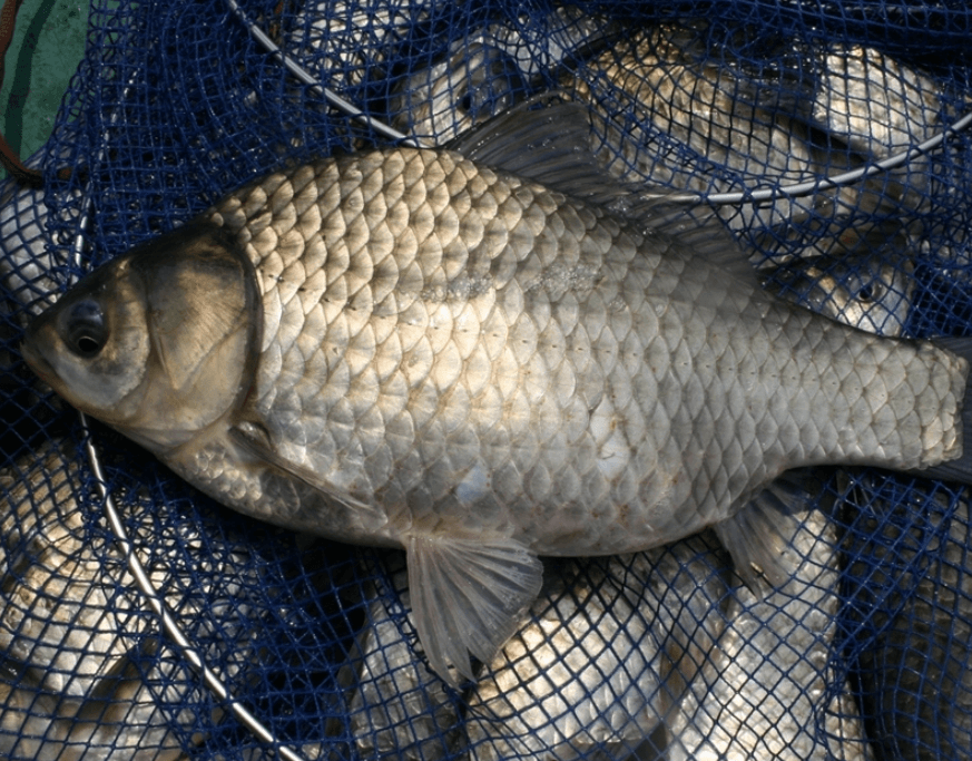 가을철 풍경 및 낚시 포인트