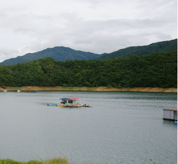 위치 · 접근 안내