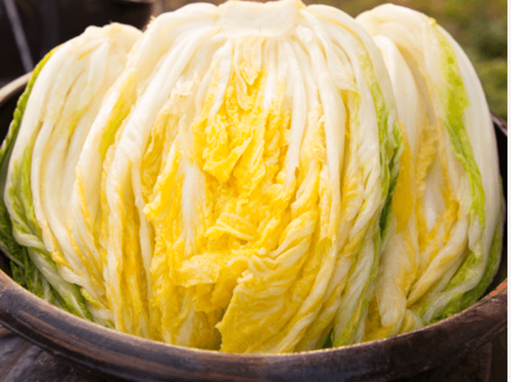 좋은 배추 고르는 법과 절임의 비율