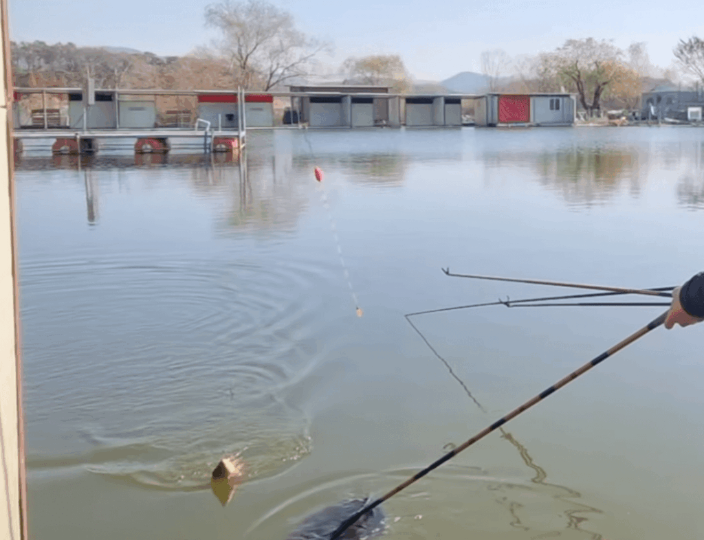 미끼와 채비는 요리와 같다