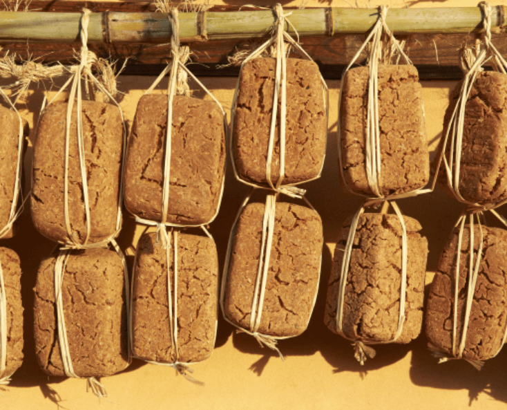 장 건강을 강화하는 유익균의 보고