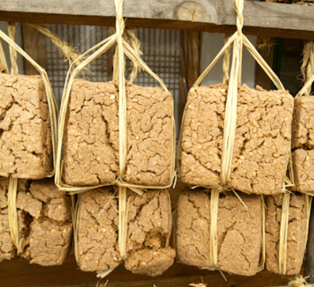 메주의 놀라운 효능 5가지