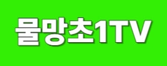 물망초1TV와 함께 다양한 생활 정보와 문화 이야기를 만나보세요. 