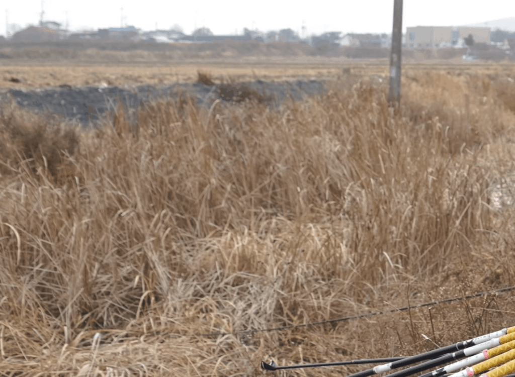 초겨울 강화가 주는 묘한 감성