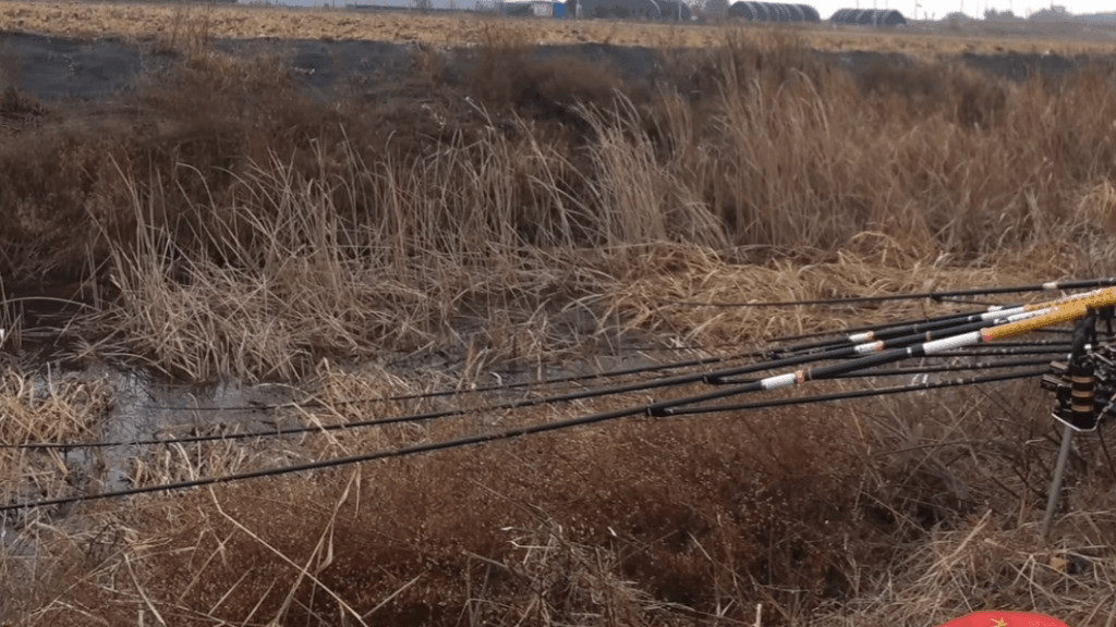 직공 낚시의 계절적 매력