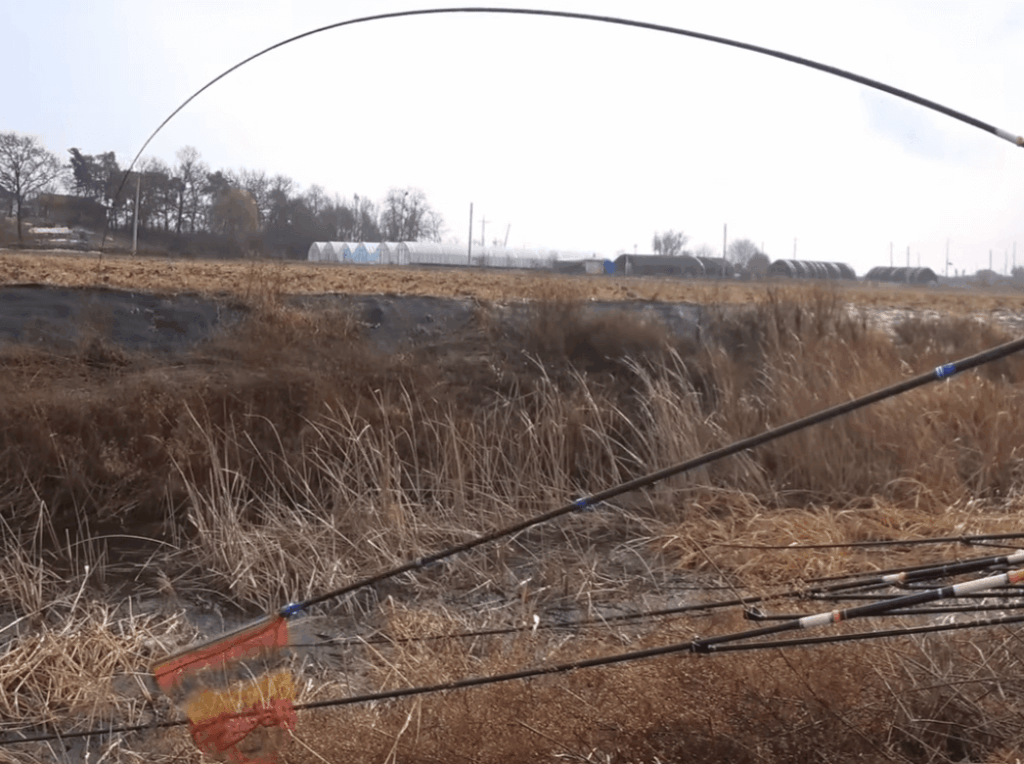 햇볕이 만드는 숨은 골든 라인