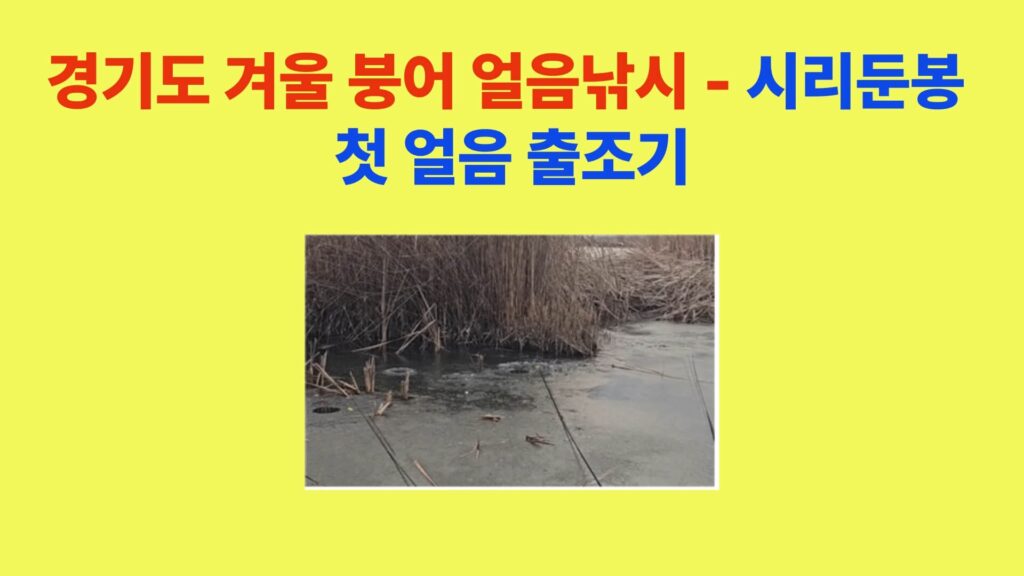 경기도 시리둔봉 수로 겨울 붕어 얼음낚시 현장 - 얼음 두께 측정 및 안전 확인 장면