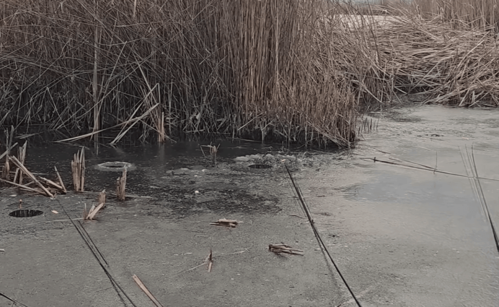 얼음 상태 및 안전 확인