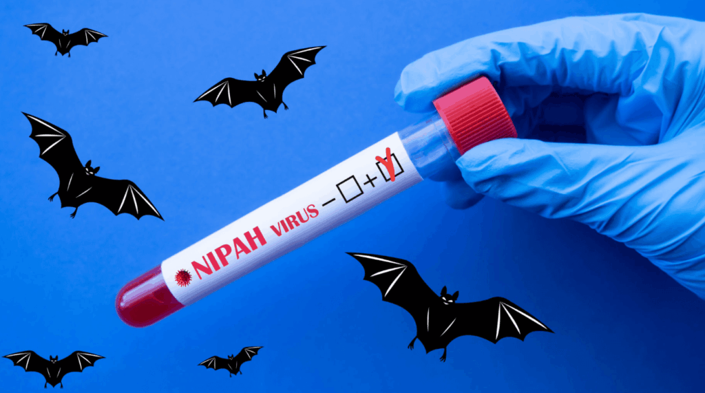 인도에서 반복되는 발생, 우연이 아니다