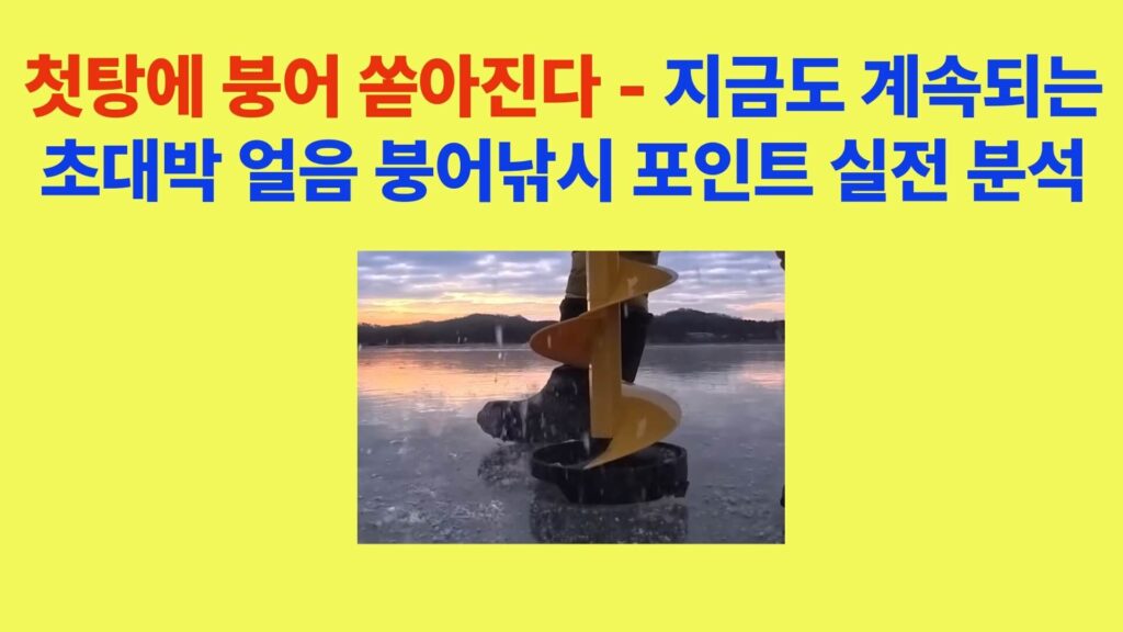 첫탕에 붕어가 쏟아진 초대박 얼음 붕어낚시 포인트 현장 모습