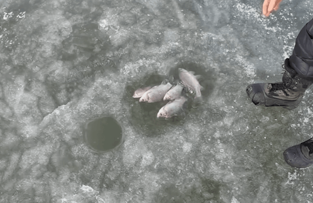 지금 이 포인트