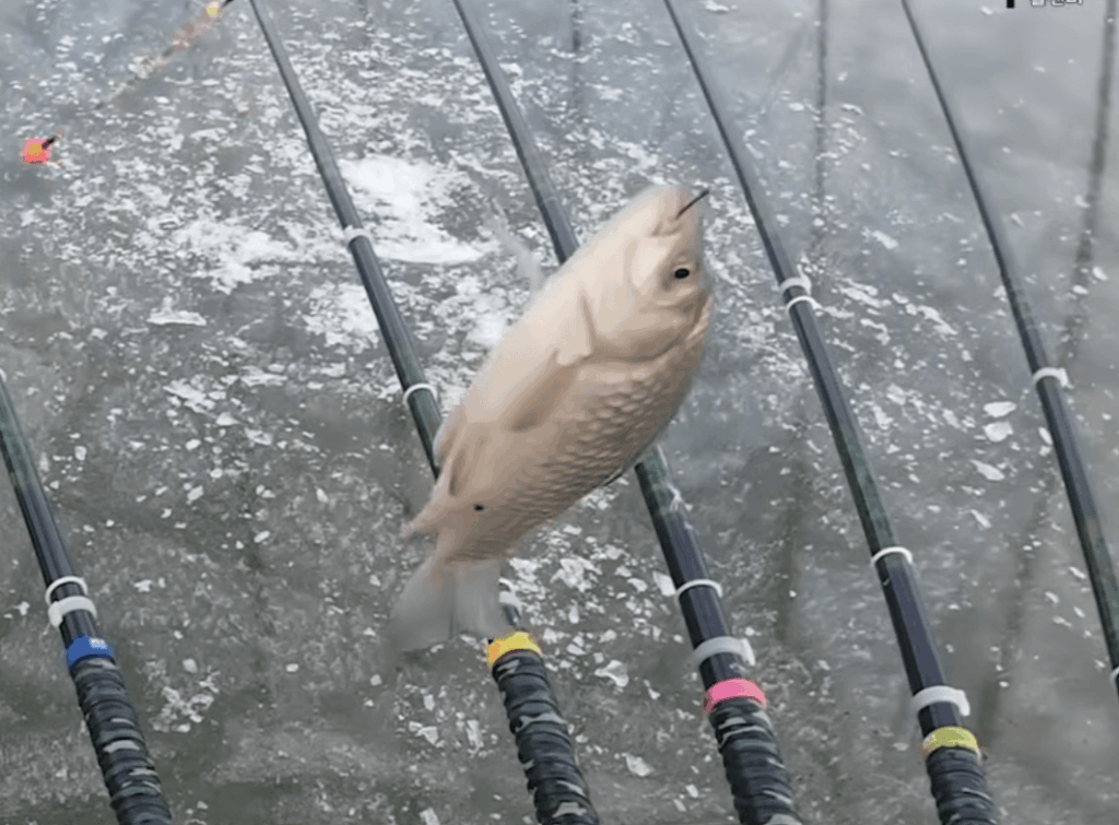 얼음 상태와 안전 판단