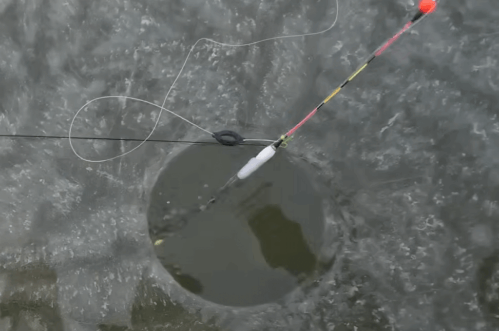 지렁이 단일 미끼