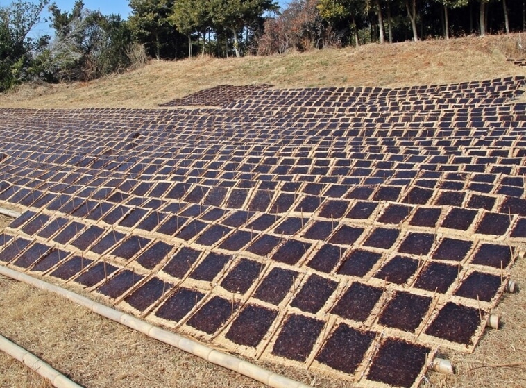왜 ‘검은 반도체’인가