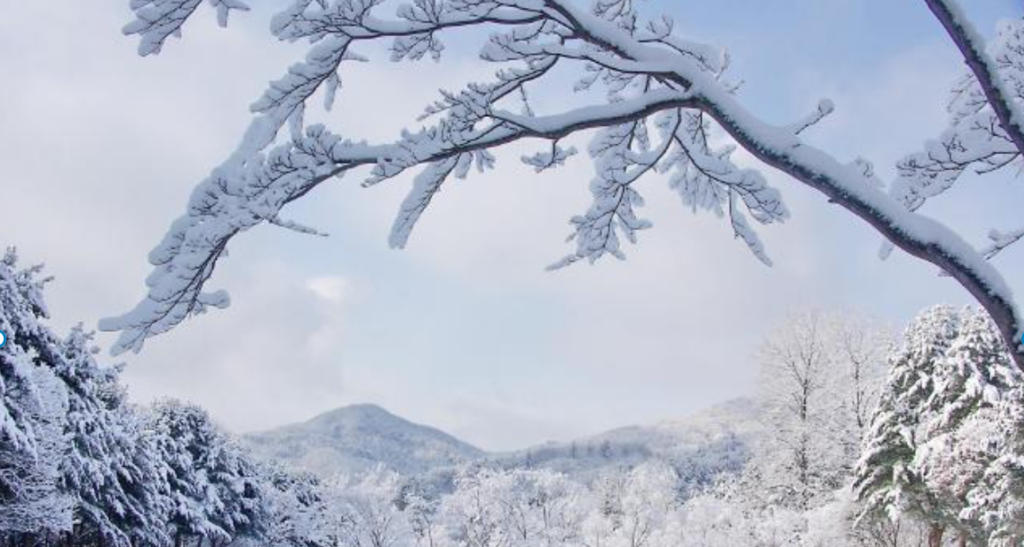 당일치기 설날 나들이 명소