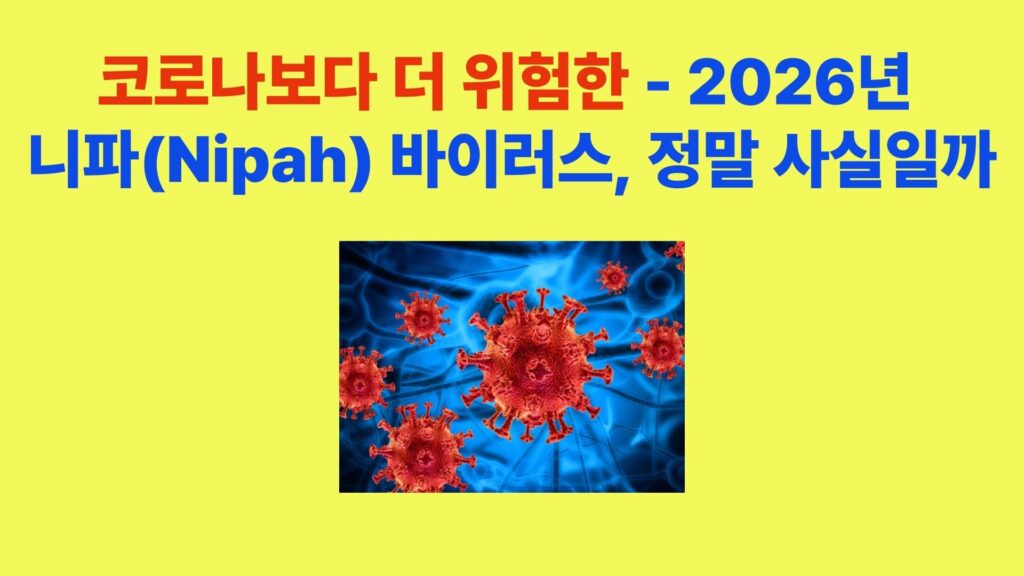 코로나보다 더 위험한 니파(Nipah) 바이러스의 치사율과 실제 위험성을 설명한 이미지