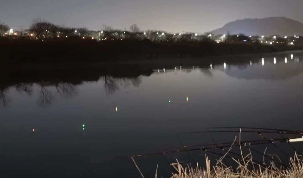 영산강 대물 공략 핵심 포인트