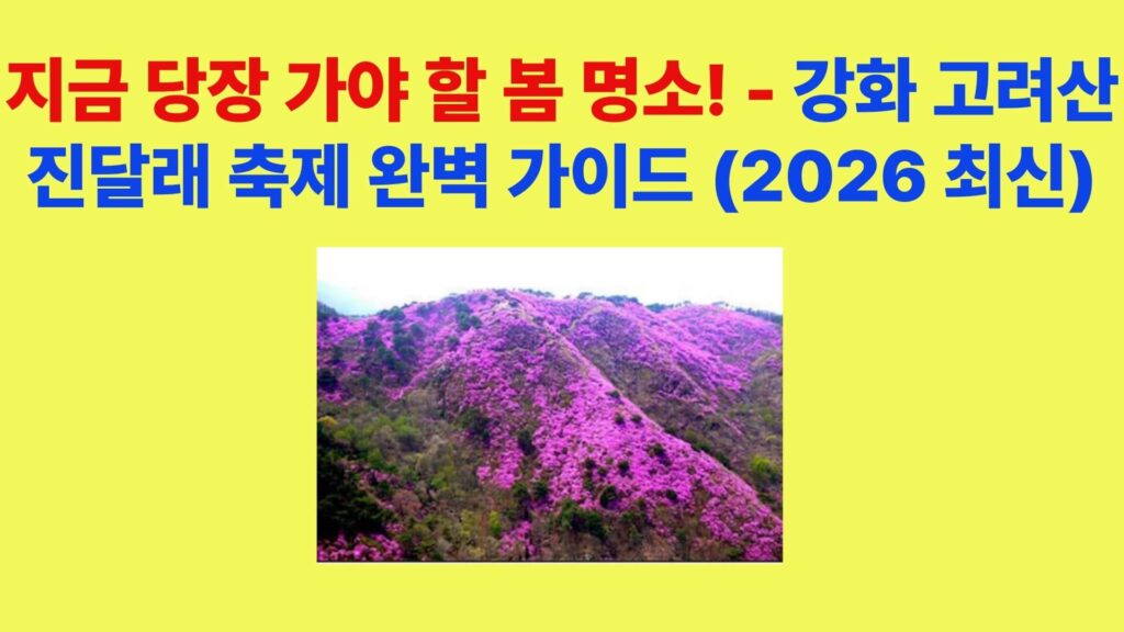 강화 고려산 진달래 축제 전경 봄 꽃 명소 등산 코스 풍경