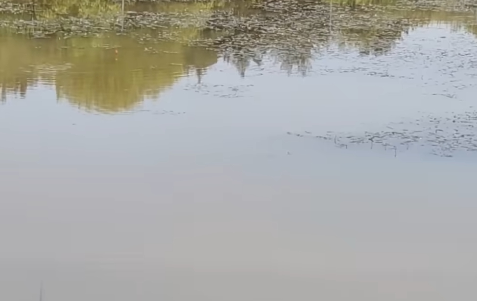 나주 백두 낚시터 명소 