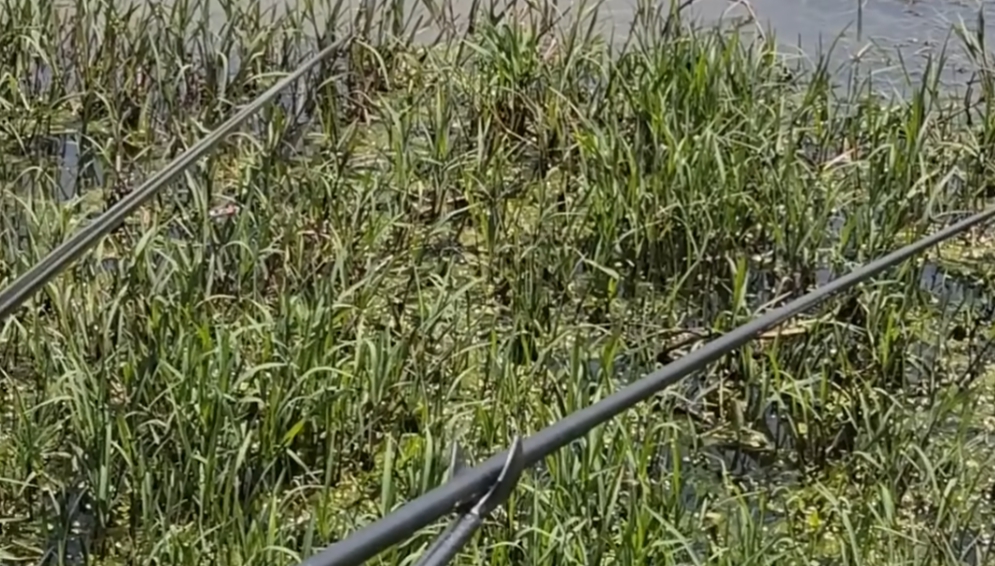 나주 백두 낚시터